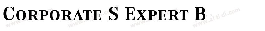 Corporate S Expert B字体转换